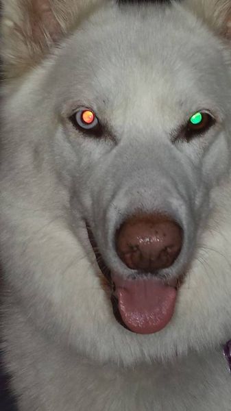 morning picdump 56 pics 1.html - 56 HD Photos | Premium Gallery 2014