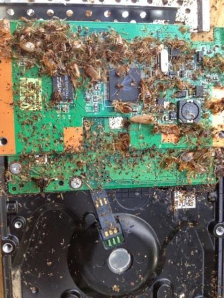 morning picdump 56 pics 1.html - 56 HD Photos | Premium Gallery 2014