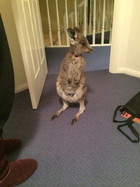 morning picdump 56 pics 1.html - 56 HD Photos | Premium Gallery 2014