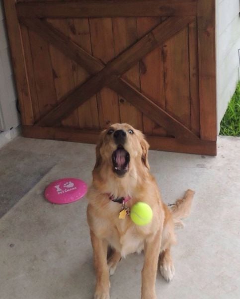 morning picdump 55 pics 38.html - 55 HD Photos | Premium Gallery 2014