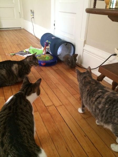 morning picdump 55 pics 38.html - 55 HD Photos | Premium Gallery 2014