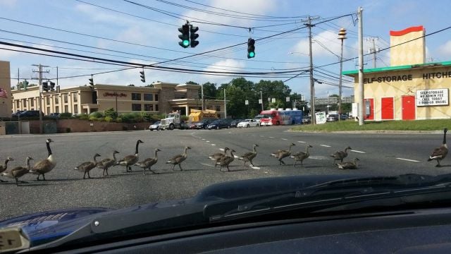 morning picdump 55 pics 38.html - 55 HD Photos | Premium Gallery 2014