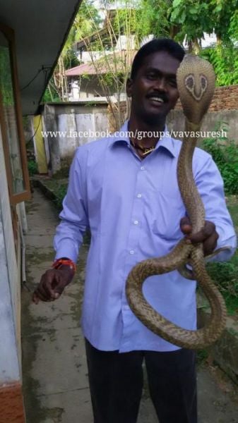 The Bravest Snake Expert on the Planet