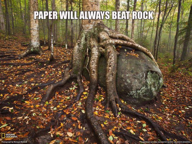 morning picdump 63 pics 2.html - 63 HD Photos | Premium Gallery 2014