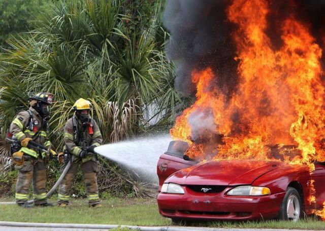 morning picdump 63 pics 2.html - 63 HD Photos | Premium Gallery 2014