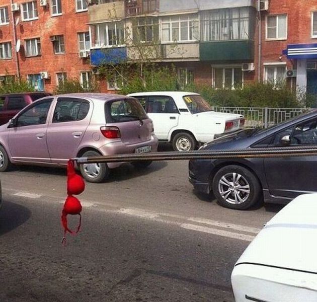 morning picdump 63 pics 2.html - 63 HD Photos | Premium Gallery 2014