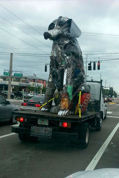 morning picdump 58 pics 1.html - 58 HD Photos | Premium Gallery 2014