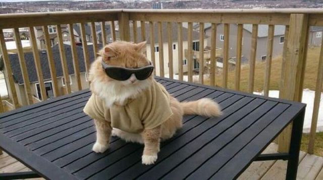 morning picdump 58 pics 1.html - 58 HD Photos | Premium Gallery 2014