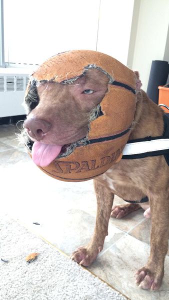 morning picdump 58 pics 1.html - 58 HD Photos | Premium Gallery 2014