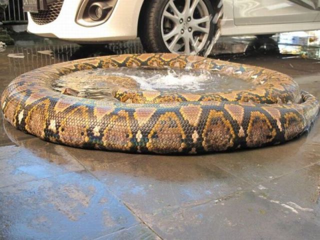 morning picdump 58 pics 1.html - 58 HD Photos | Premium Gallery 2014