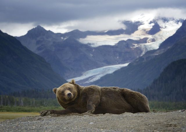 morning picdump 58 pics 1.html - 58 HD Photos | Premium Gallery 2014