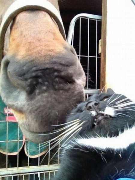 morning picdump 58 pics 1.html - 58 HD Photos | Premium Gallery 2014