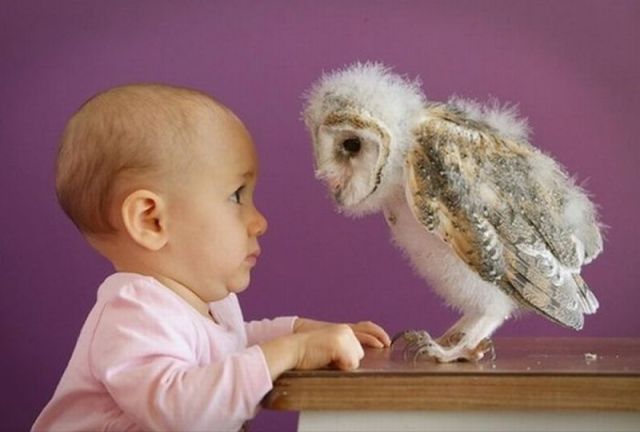 morning picdump 58 pics 1.html - 58 HD Photos | Premium Gallery 2014