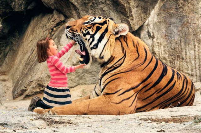 morning picdump 58 pics 1.html - 58 HD Photos | Premium Gallery 2014