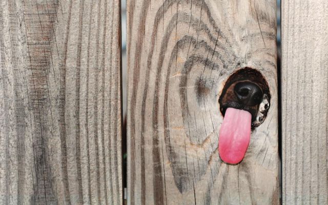 morning picdump 58 pics 1.html - 58 HD Photos | Premium Gallery 2014