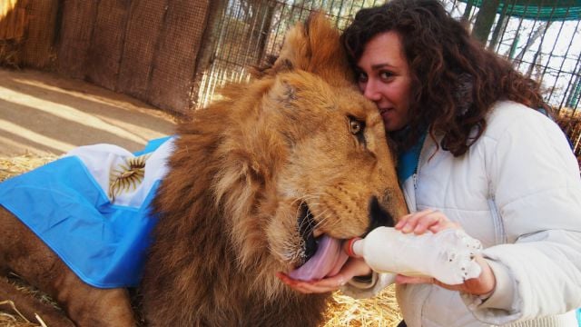 morning picdump 55 pics 19.html - 55 HD Photos | Premium Gallery 2014