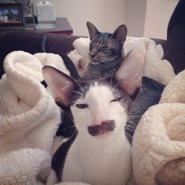 morning picdump 55 pics 19.html - 55 HD Photos | Premium Gallery 2014