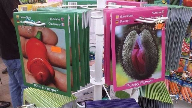 grownup corner 56 pics 15 gifs 5.html - 56 HD GIF | Premium Gallery 2014