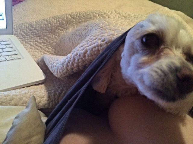 grownup corner 56 pics 15 gifs 5.html - 56 HD GIF | Premium Gallery 2014