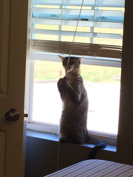 morning picdump 58 pics 10.html - 58 HD Photos | Premium Gallery 2014