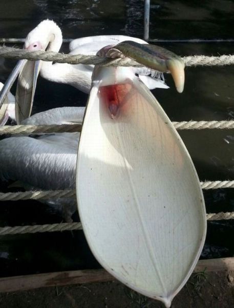 morning picdump 58 pics 10.html - 58 HD Photos | Premium Gallery 2014