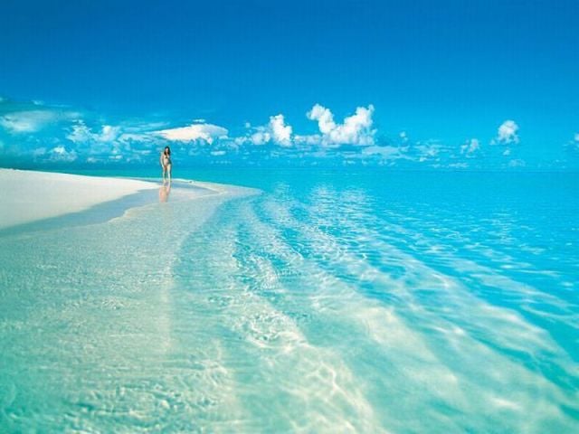 morning picdump 58 pics 10.html - 58 HD Photos | Premium Gallery 2014