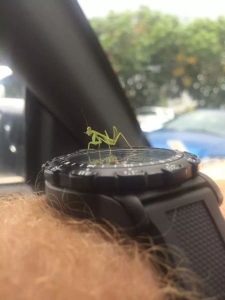 daily picdump 98 pics 5.html - 98 HD Photos | Premium Gallery 2014