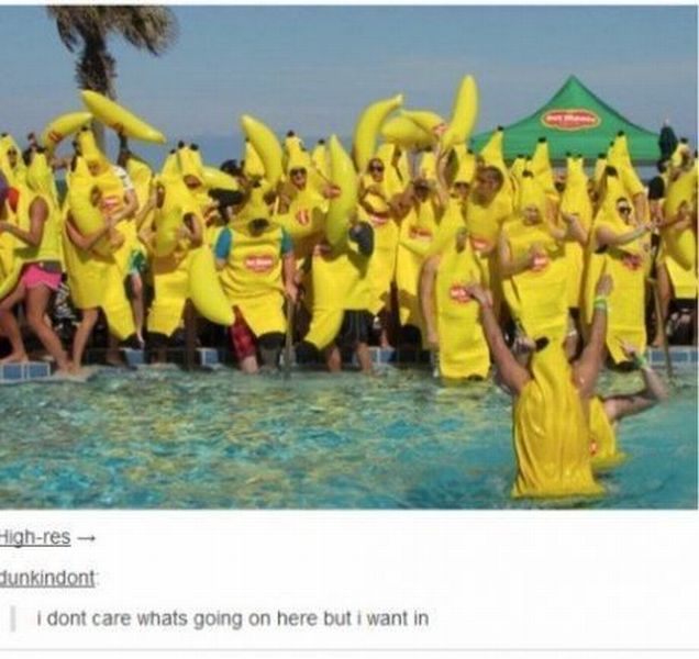 daily picdump 98 pics 5.html - 98 HD Photos | Premium Gallery 2014