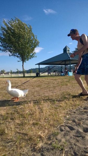 daily picdump 98 pics 5.html - 98 HD Photos | Premium Gallery 2014