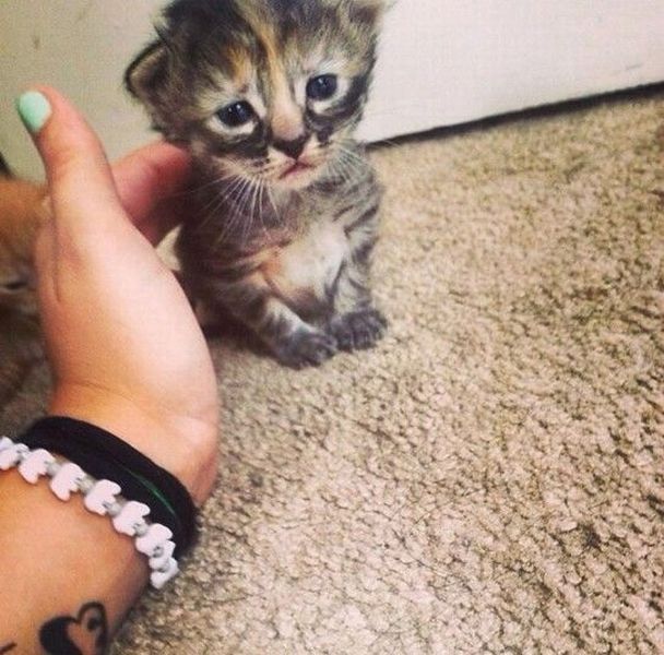 daily picdump 98 pics 5.html - 98 HD Photos | Premium Gallery 2014