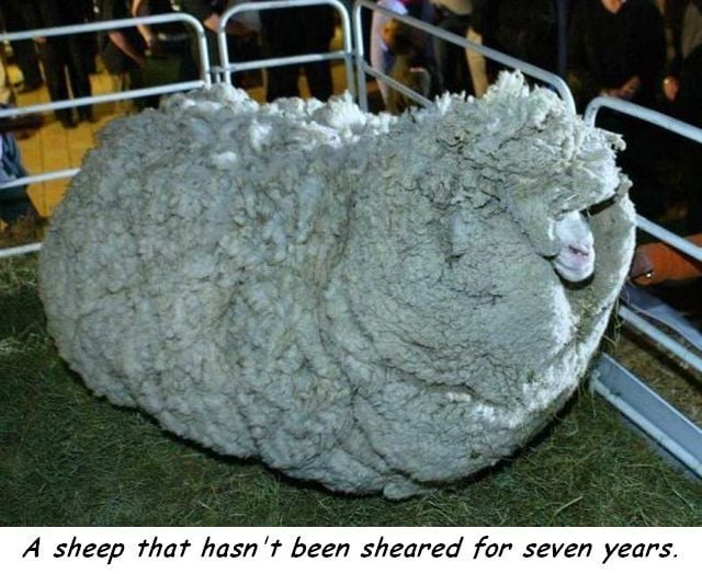 daily picdump 98 pics 5.html - 98 HD Photos | Premium Gallery 2014