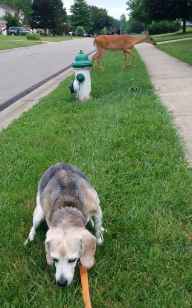 daily picdump 98 pics 5.html - 98 HD Photos | Premium Gallery 2014