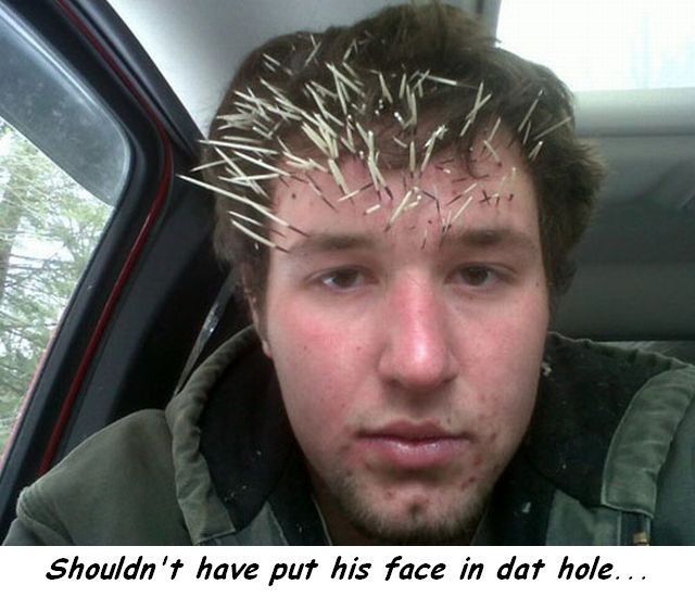 daily picdump 98 pics 5.html - 98 HD Photos | Premium Gallery 2014