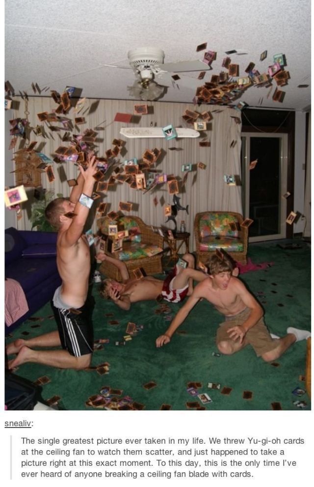 daily picdump 98 pics 5.html - 98 HD Photos | Premium Gallery 2014