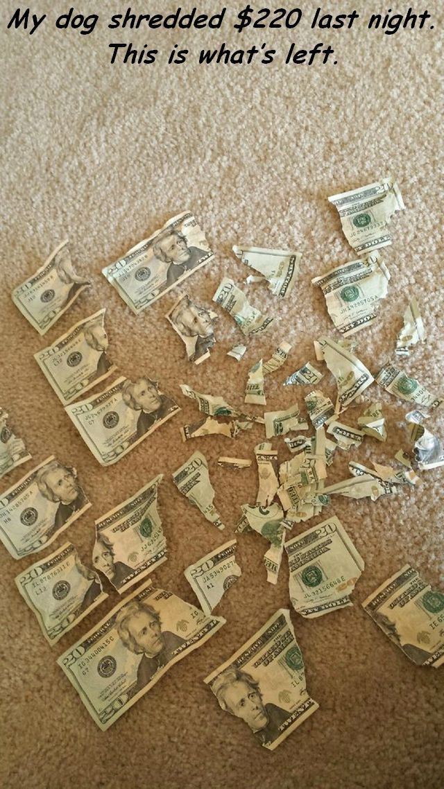 daily picdump 98 pics 5.html - 98 HD Photos | Premium Gallery 2014