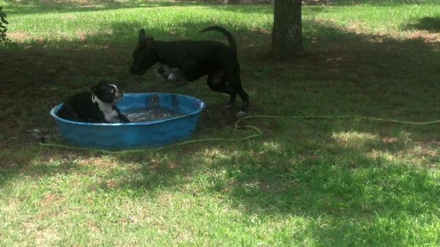 morning picdump 57 pics 22.html - 57 HD Photos | Premium Gallery 2014