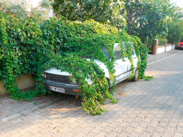 morning picdump 57 pics 22.html - 57 HD Photos | Premium Gallery 2014