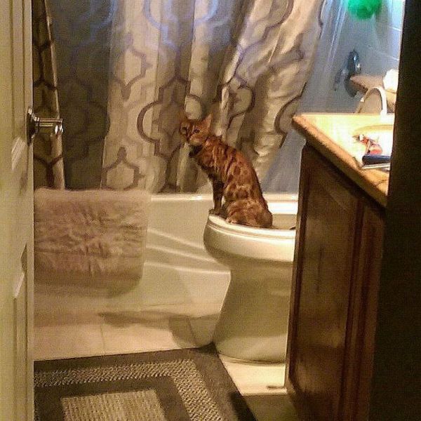 daily picdump 101 pics 2.html - 101 HD Photos | Premium Gallery 2014