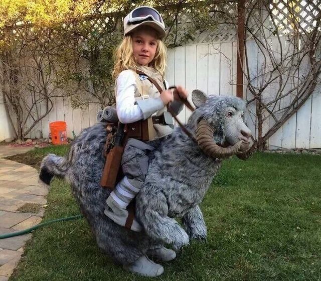 daily picdump 101 pics 2.html - 101 HD Photos | Premium Gallery 2014