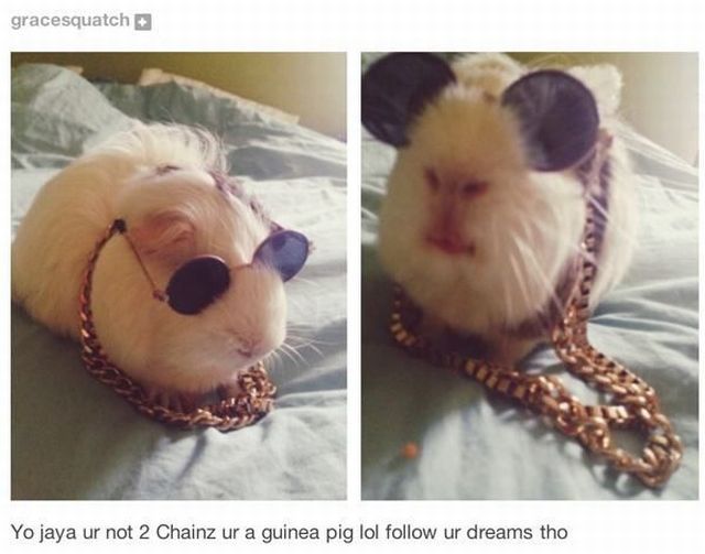 daily picdump 101 pics 2.html - 101 HD Photos | Premium Gallery 2014