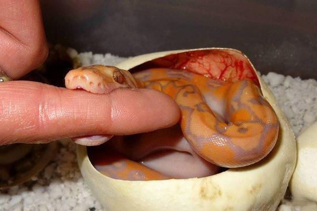 daily picdump 101 pics 2.html - 101 HD Photos | Premium Gallery 2014