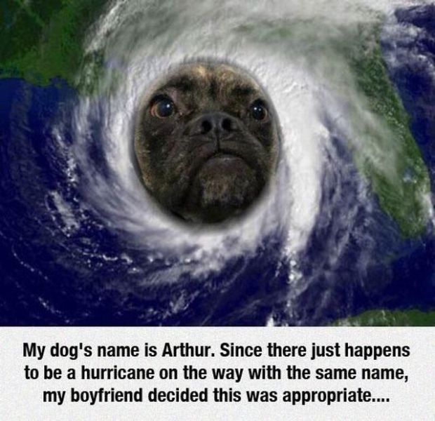 daily picdump 101 pics 2.html - 101 HD Photos | Premium Gallery 2014