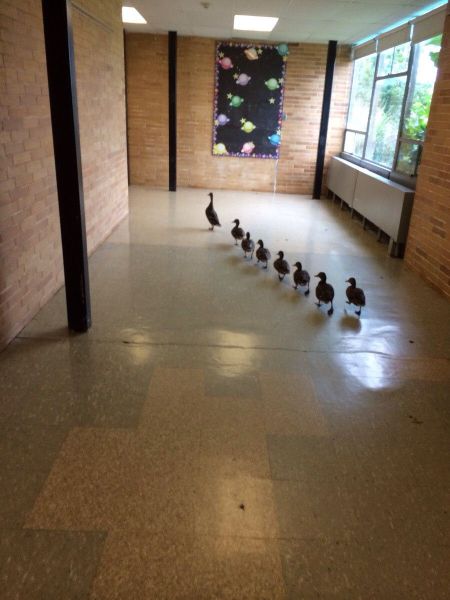 daily picdump 101 pics 2.html - 101 HD Photos | Premium Gallery 2014