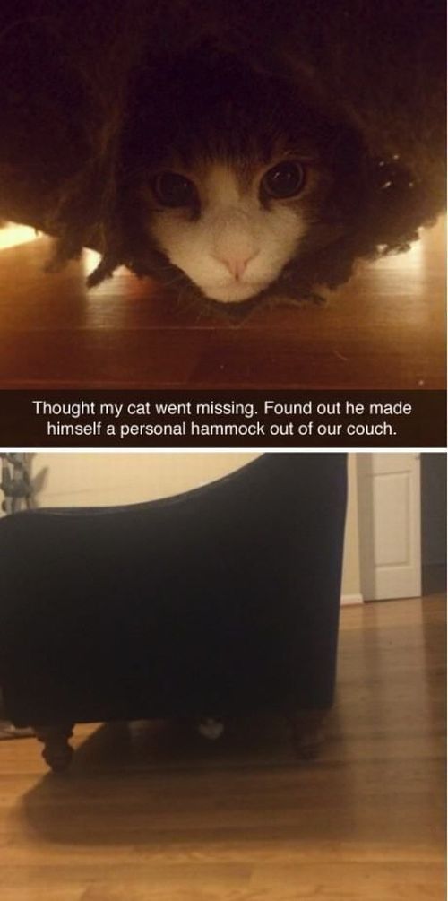 daily picdump 101 pics 2.html - 101 HD Photos | Premium Gallery 2014