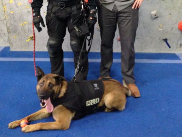 morning picdump 56 pics 36.html - 56 HD Photos | Premium Gallery 2014