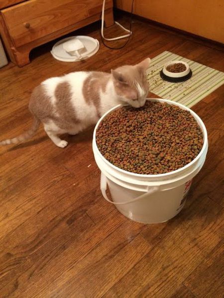 morning picdump 56 pics 36.html - 56 HD Photos | Premium Gallery 2014