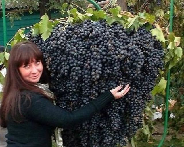 morning picdump 56 pics 36.html - 56 HD Photos | Premium Gallery 2014