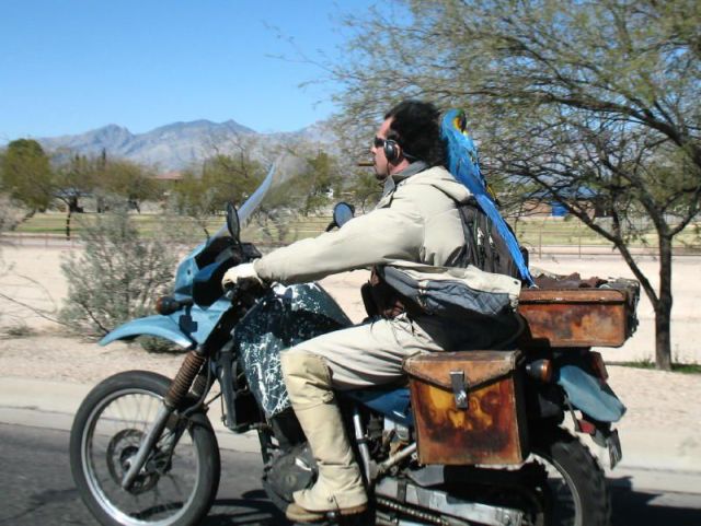 morning picdump 56 pics 36.html - 56 HD Photos | Premium Gallery 2014