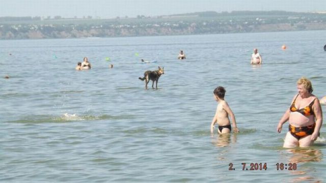 morning picdump 56 pics 36.html - 56 HD Photos | Premium Gallery 2014