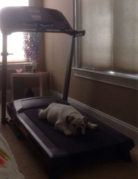 morning picdump 56 pics 36.html - 56 HD Photos | Premium Gallery 2014